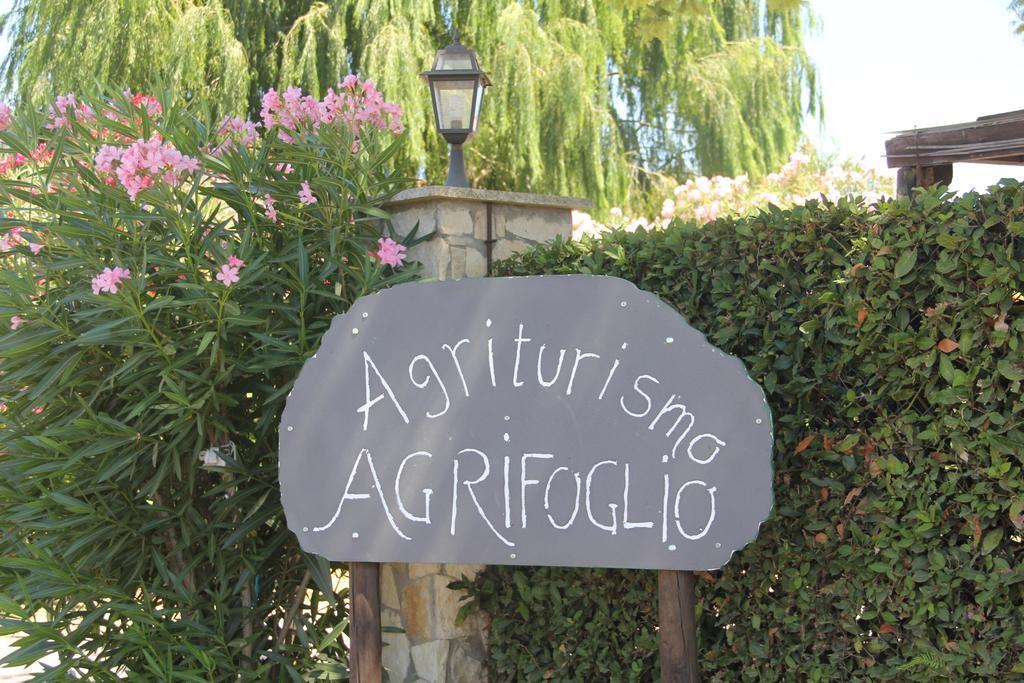 Agriturismo Agrifoglio Capalbio Exterior foto